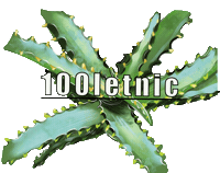 100Letnic Sticker
