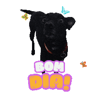 Bom Dia Sticker by Villa Pet Salvador