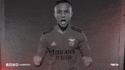 Sl Benfica Slbgif GIF by Sport Lisboa e Benfica
