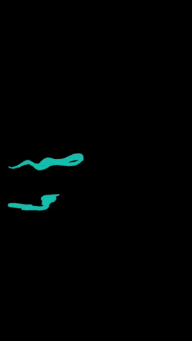 Alfasystem giphyattribution GIF