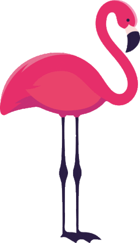 Flamingo Selive Sticker by Special Event Life