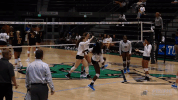 athletics volleyball GIF by GreenWave