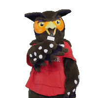 Swoop Ask Question Sticker by University of Guelph-Humber