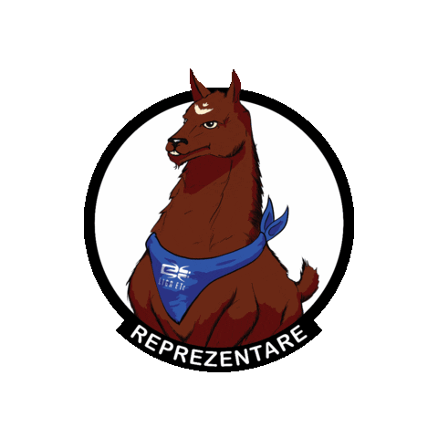 LigaETc giphygifmaker lsfetc reprelsfetc Sticker