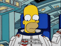 homer simpson GIF