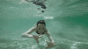 Ellen Page Hello GIF by GAYCATION with Ellen Page and Ian Daniel