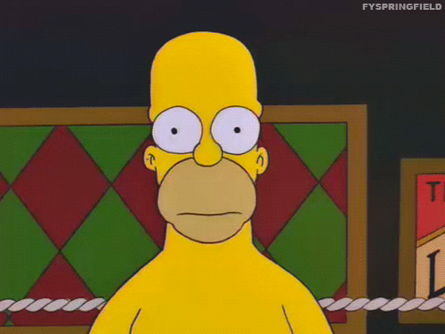 homer simpson simpsons GIF