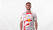 Say My Name Football GIF by RB Leipzig