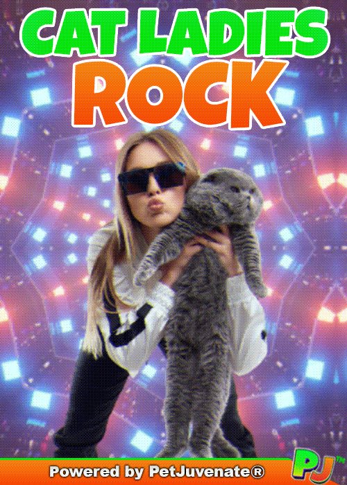 Cat Lady Taylor GIF by PetJuvenate - PJ