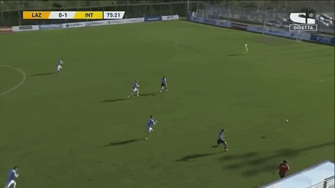 francescomurada0a giphygifmaker GIF