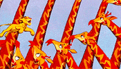the lion king love GIF