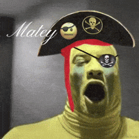 Son Pirates GIF