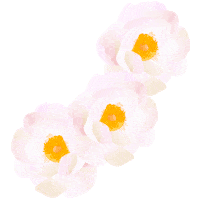 Rose Pink Sticker by Studio Behm