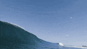 Climate Change Swimming GIF by PBS Digital Studios