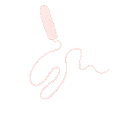 Period Tampon Sticker