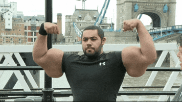 GIF by Giffffr