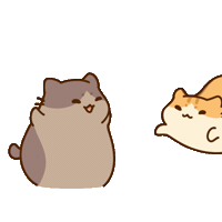 BichiMao cat bichimao couplememes Sticker