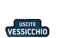 Festivaldisanremo Vessicchio Sticker by Rai Radiotelevisione italiana