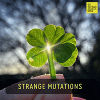 Earth Plants GIF by 60 Second Docs