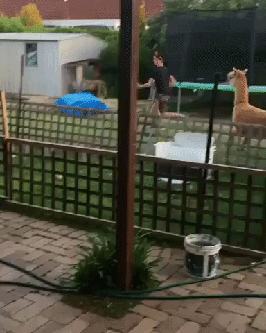 so many questions GIF