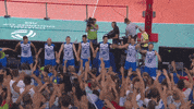 Happy Celebration GIF by Volleyball World