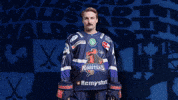 Celebration Hockey GIF by Iserlohn Roosters