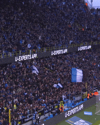 Jan Breydel Noord GIF by Club Brugge