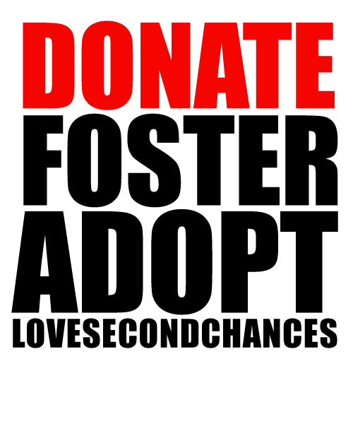 Dog Help Sticker by lovesecondchances