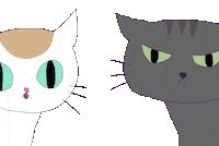 Excited Cat Sticker
