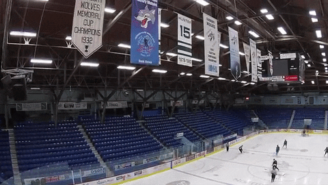 hockey sudbury GIF by Laurentian University