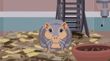 King Of Gerbils