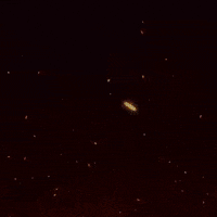 GIF by Pagbet