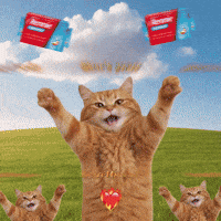 RennieUK heartburn rennie hows your heartburn GIF