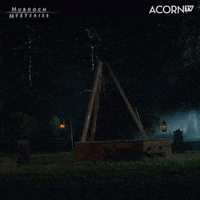 Murdoch Mysteries Reaction GIF by Acorn TV