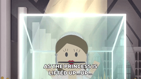 princess bride GIF by South Park 