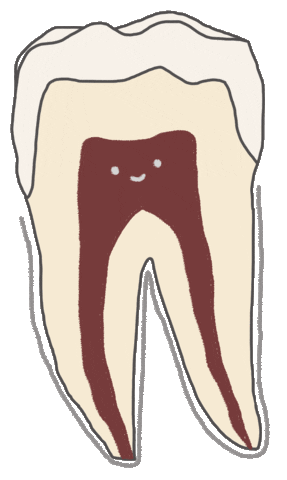 Teeth Tooth Sticker