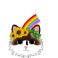 fluffybydesign cat rainbow flowers spring Sticker