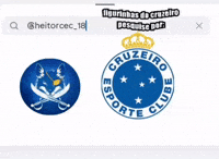 Cruzeiro Esporte Clube GIF