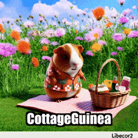 Guinea Pig Trending Topics GIF by Guinea Gambino