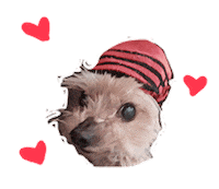 Perri Sticker