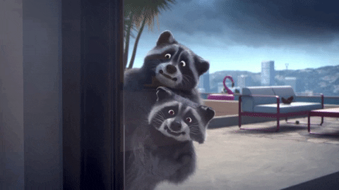 Freeze Raccoons GIF by MightyMike