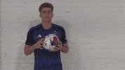 Soccer Futbol GIF by San Jose Earthquakes