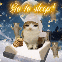 Night Sleep GIF