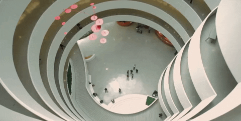 new york GIF