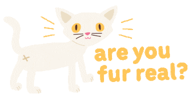 Confused No Way Sticker by Big Dog Pet Foods