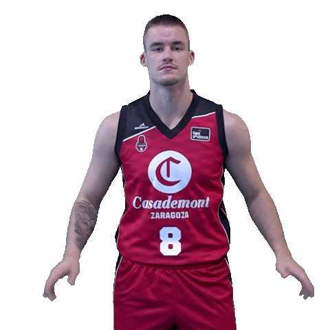 Swipe Up Liga Endesa Sticker by ACB