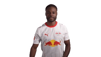Vamos Red Bull Sticker by RB Leipzig