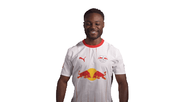 Red Bull Love Sticker by RB Leipzig
