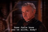 season 2 GIF by Twin Peaks on Showtime