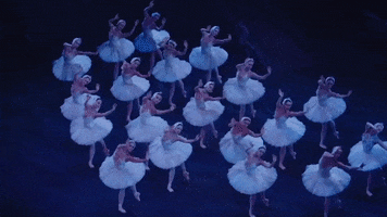 Swanlake GIF by English National Ballet